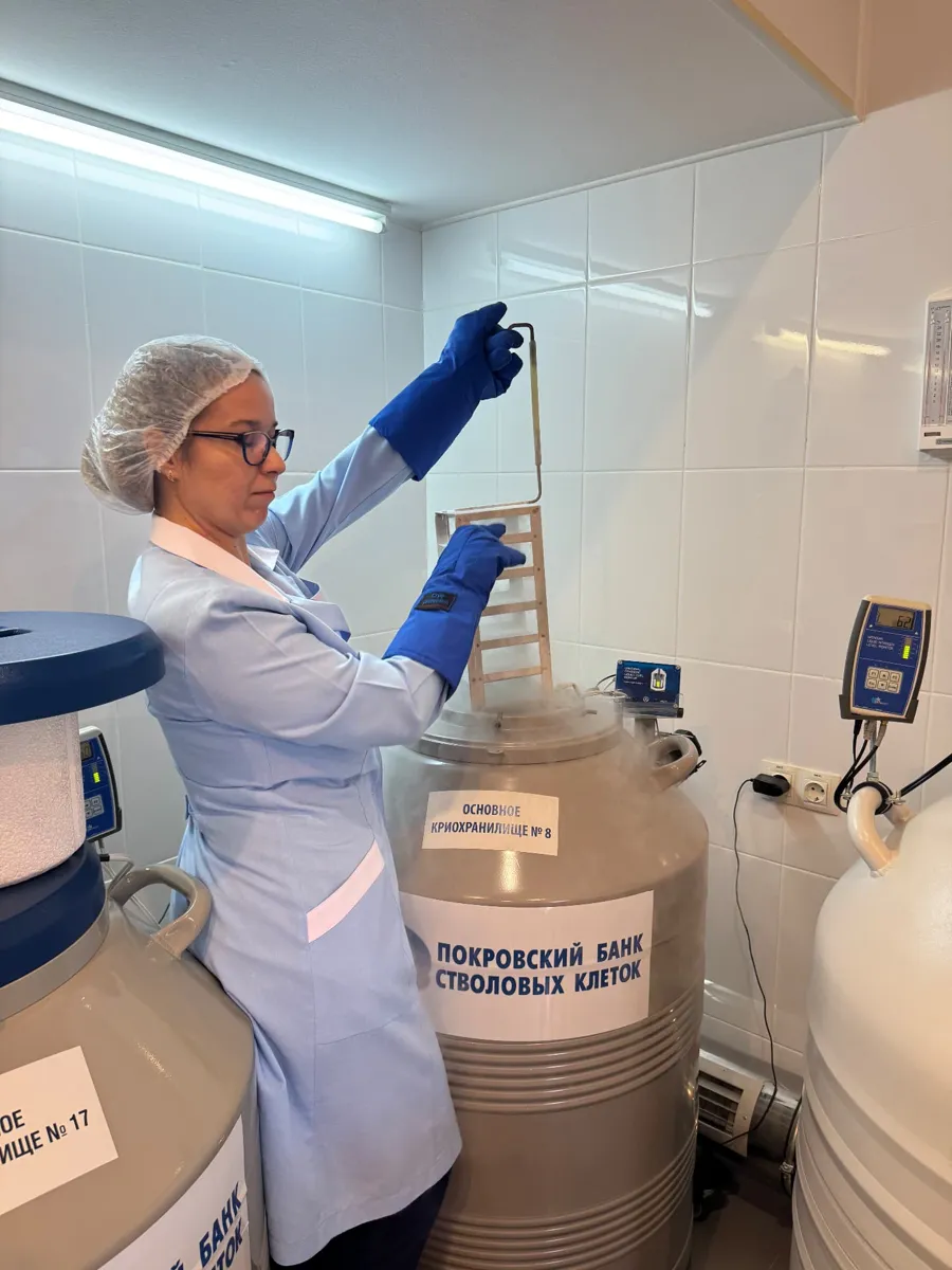 Specialist lifts a rack from a cryogenic tank in a stem cell bank